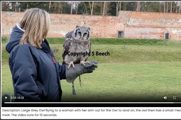 MP4 Screenshot